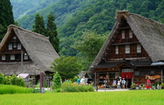 合掌造り散策夏休み