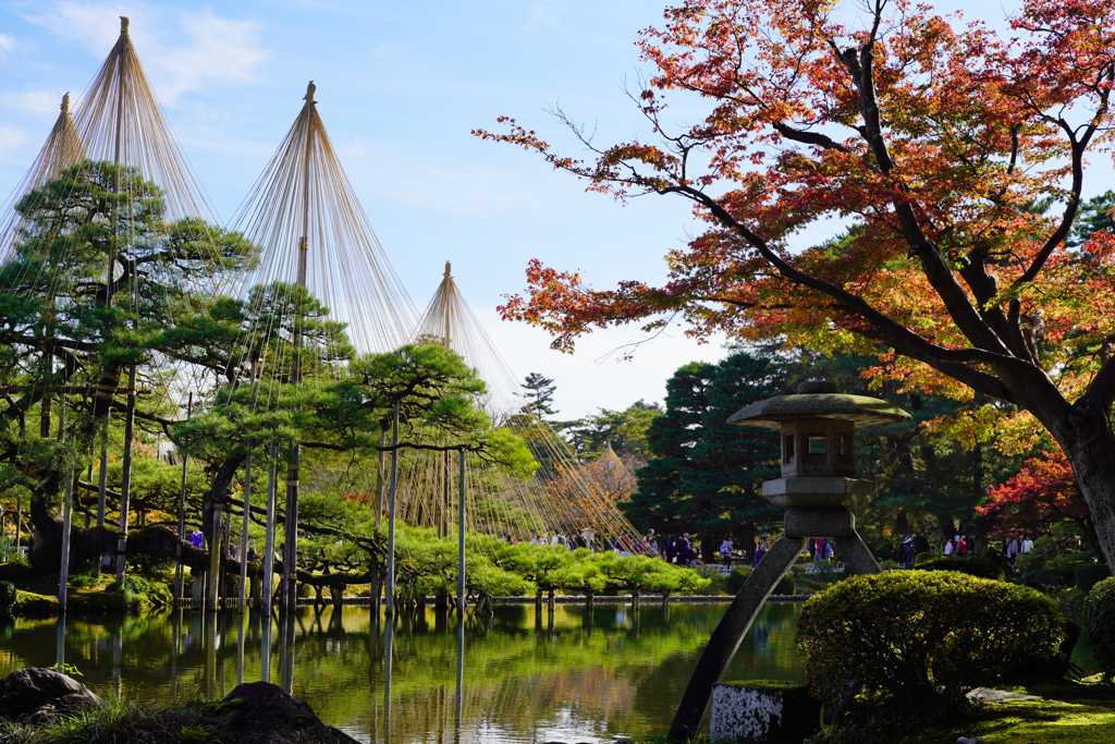 久しぶり秋の兼六園