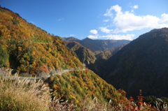 白山白川郷ホワイトロード～展望台秋の風