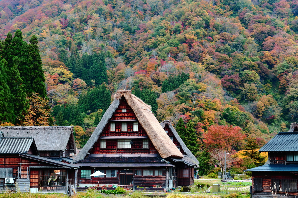 合掌造り三景~菅沼集落
