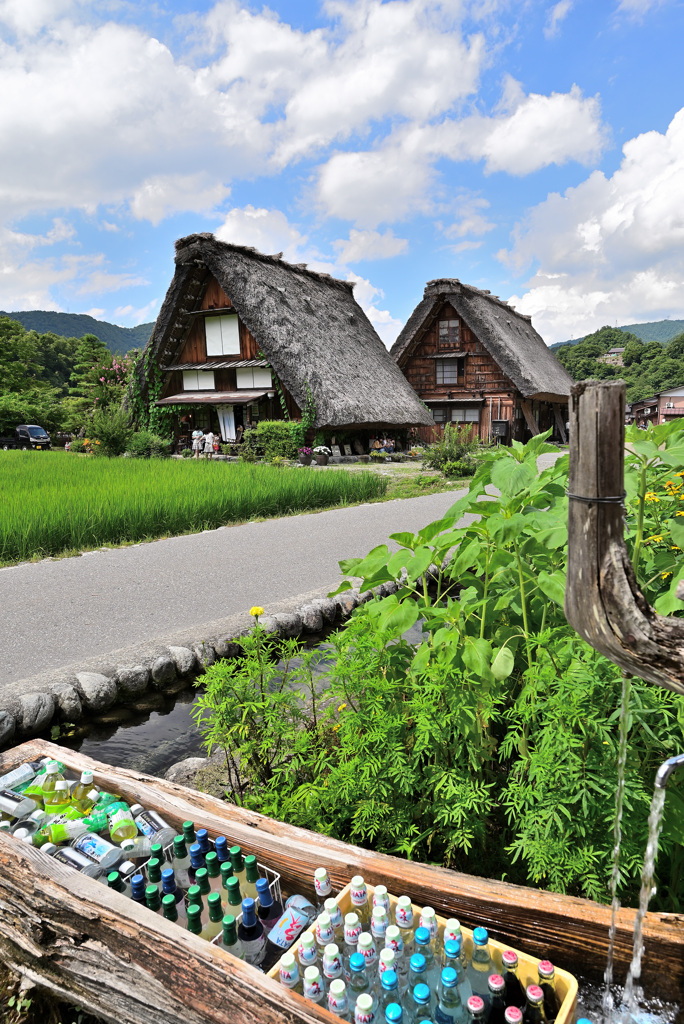 白川郷夏の光景