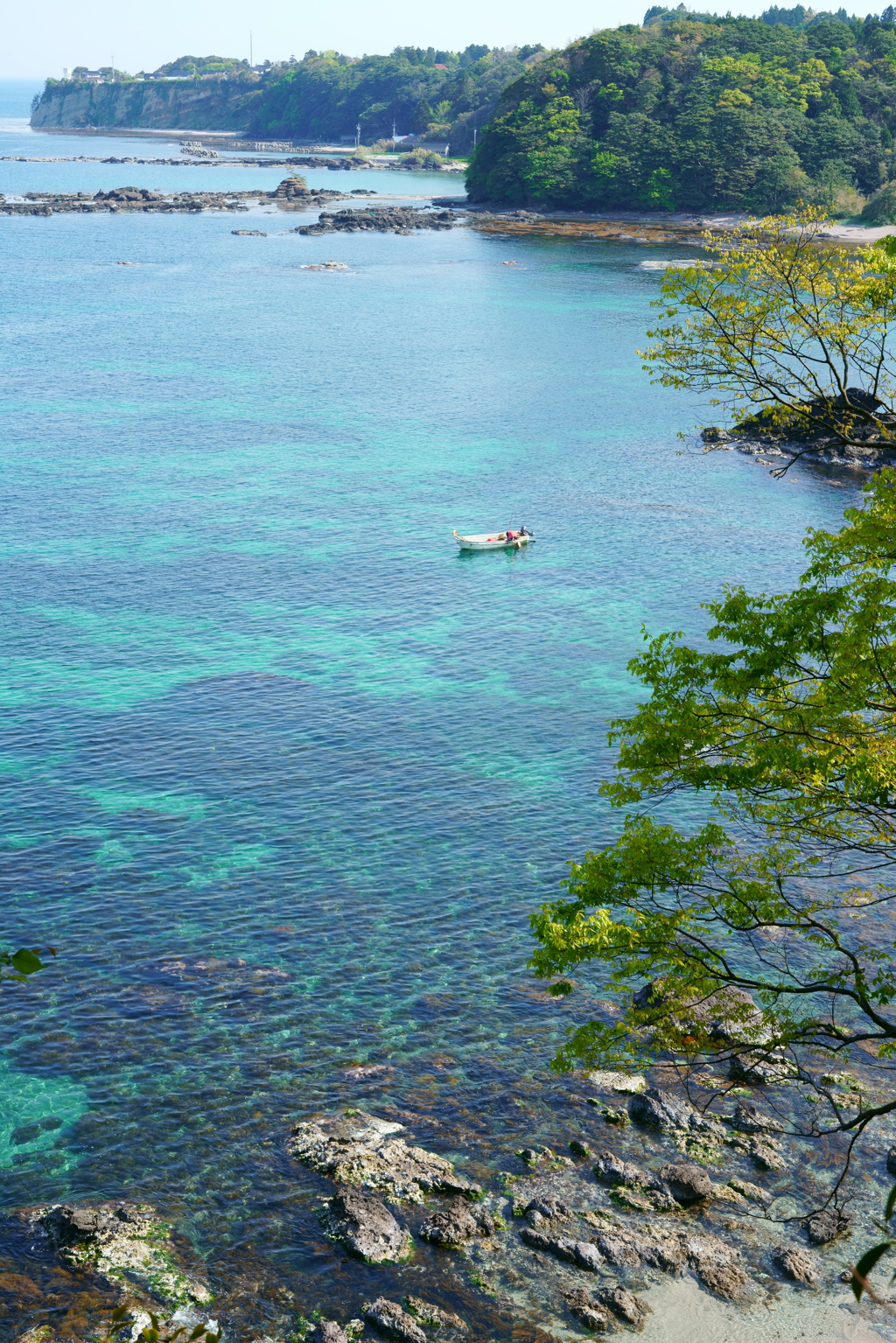 岬の漁