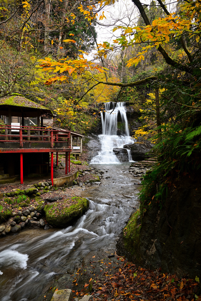 木窪大滝の紅葉
