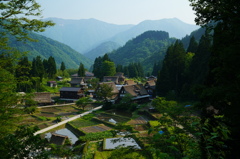 五箇山相倉～春の棚田