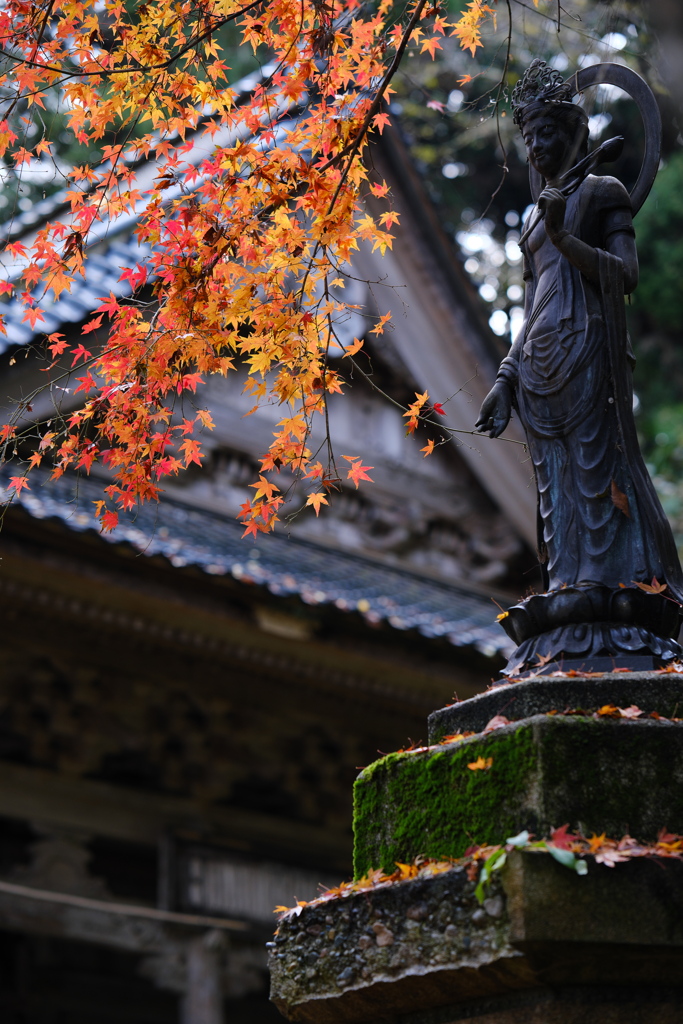 晩秋の古刹