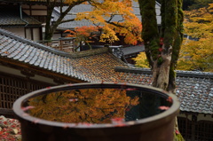 永平寺の紅葉その壱