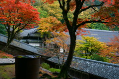 雨上がりの永平寺