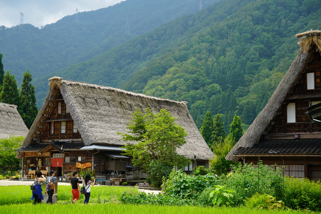 夏休み旅