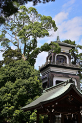 蝉時雨の尾山神社