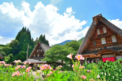 菅沼集落夏風景