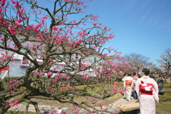 内山邸梅園
