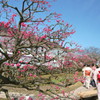 内山邸梅園
