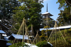 五重の塔雪の朝