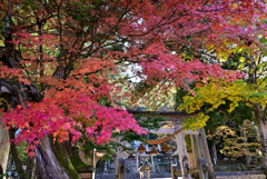 山里を見守る神社