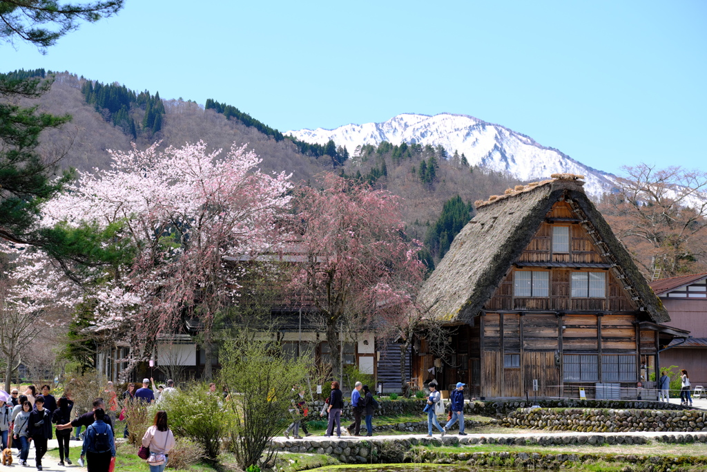 春残雪の山並み