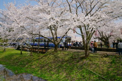 桜トンネル能登鹿島駅