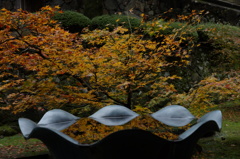 永平寺の紅葉その参