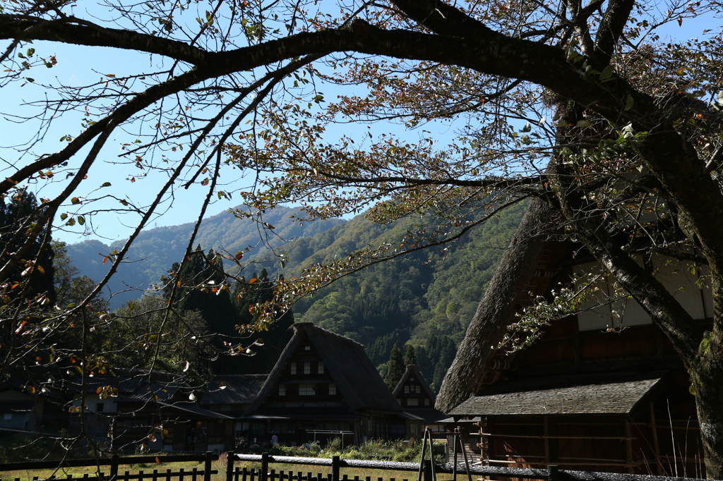五箇山秋晴れその壱