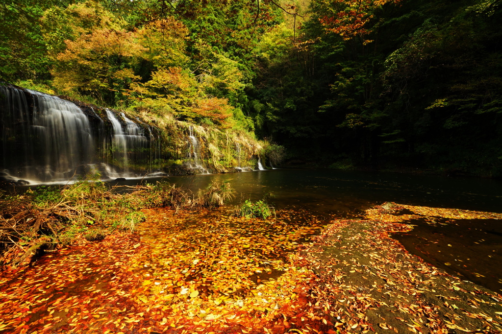 落ち葉の渓流