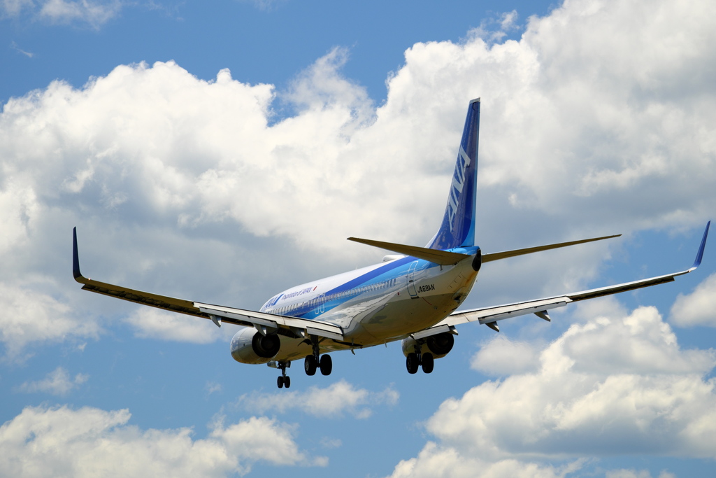 夏空ANA