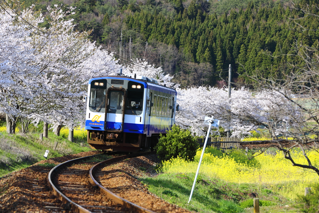 春を走るのと鉄道