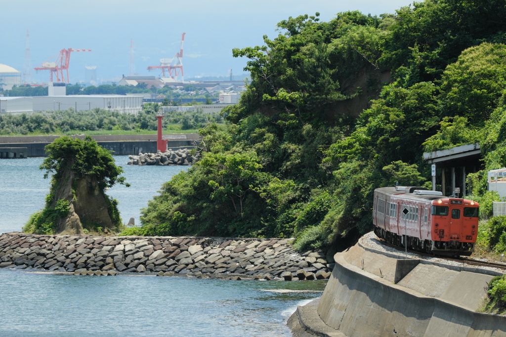 海岸線巡り