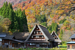 合掌造り紅葉風景