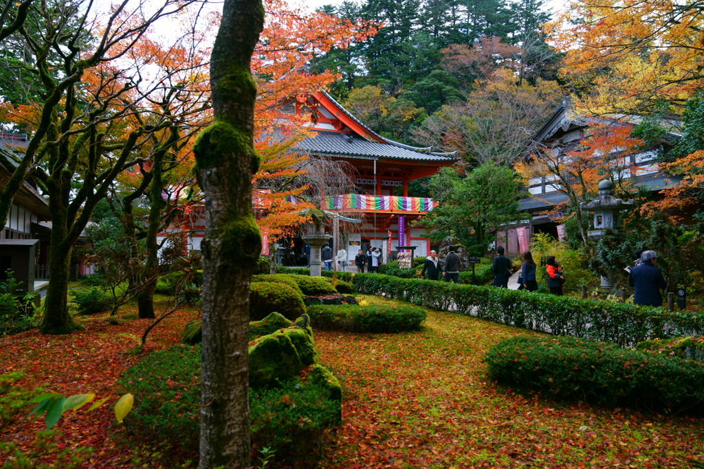 那谷寺落ち葉の庭