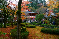 那谷寺落ち葉の庭