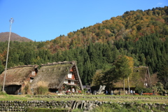 秋の晴れ間