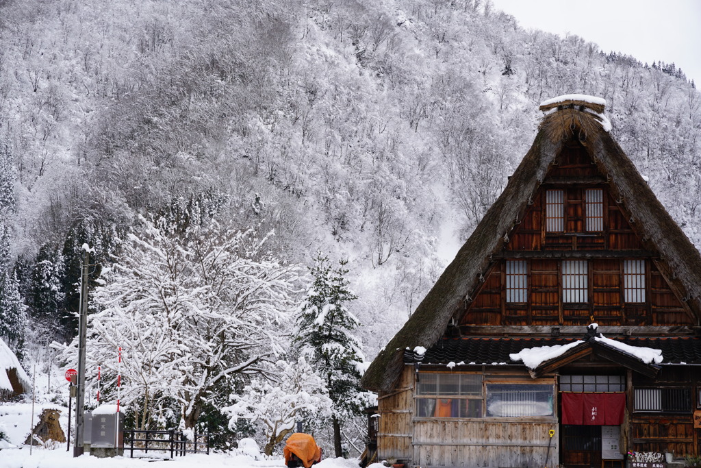 雪の背景