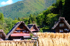 里山実りの風景