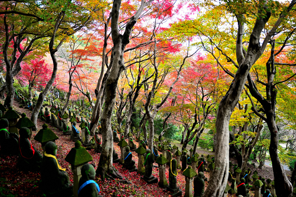 紅葉の丘五百羅漢