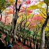 紅葉の丘五百羅漢