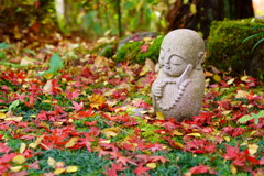 安らぎの紅葉