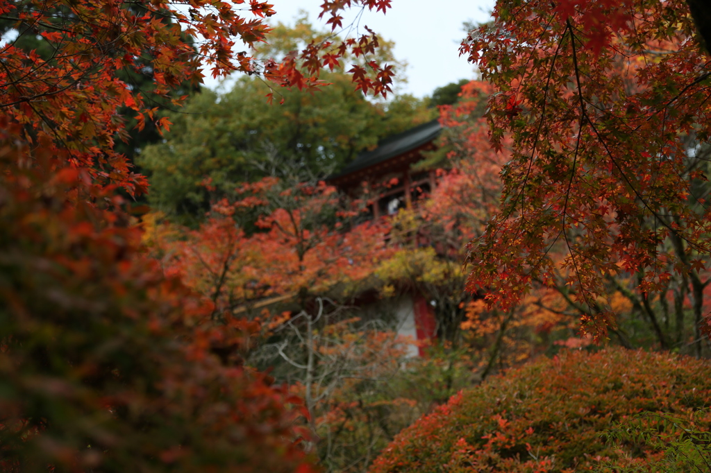 那谷寺紅葉の奥には壱