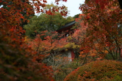 那谷寺紅葉の奥には壱