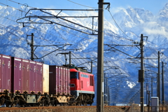 連なる貨車と立山連峰