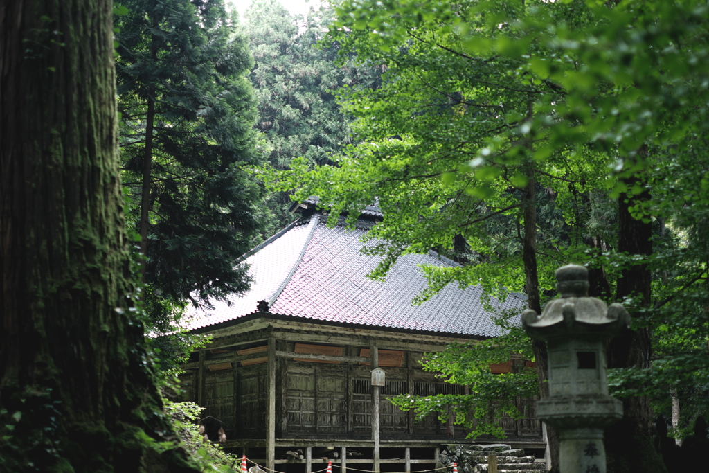 蝉時雨森の神社