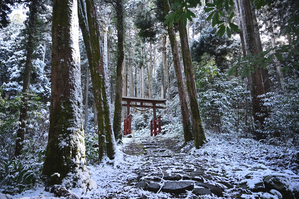 雪山の古社参道