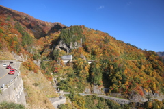 白山白川郷ホワイトロード～秋のドライブ紅葉見頃です‼