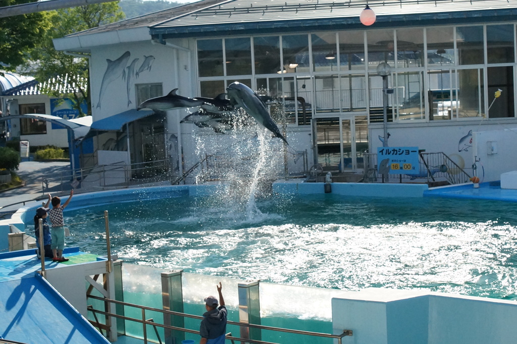 のとじま水族館イルカショージャンプ By つきなlove Id 写真共有サイト Photohito