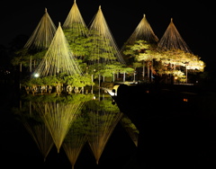 兼六園～春のライトアップ