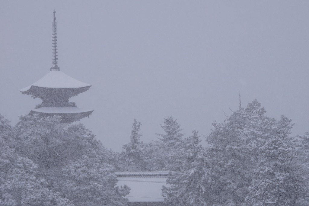 雪深い能登の五重塔