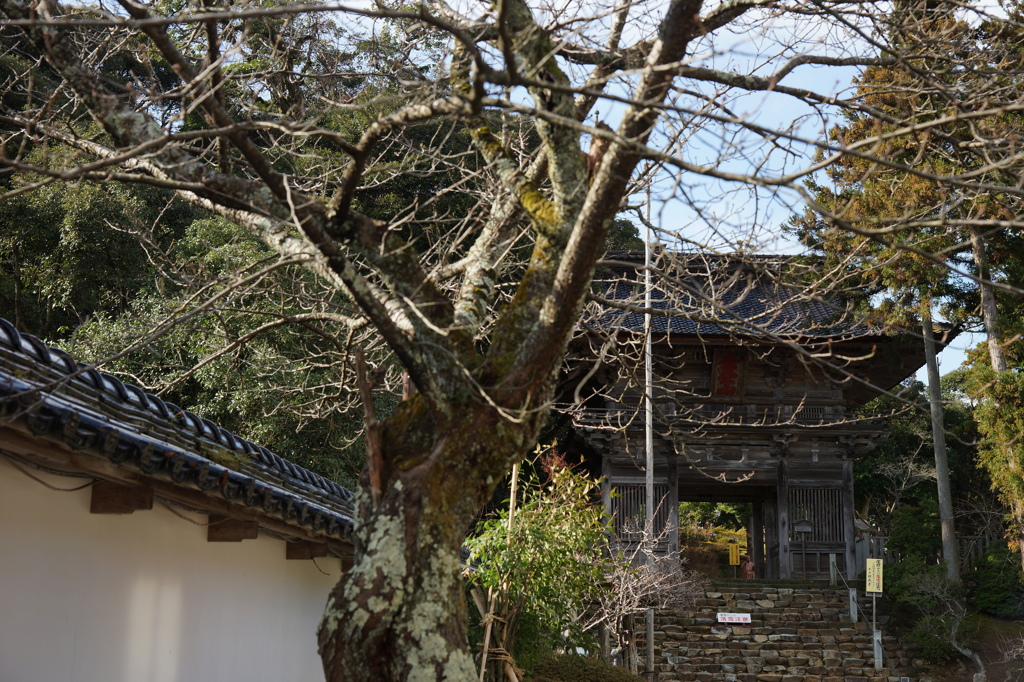 能登のお寺金栄山妙成寺