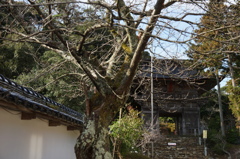 能登のお寺金栄山妙成寺