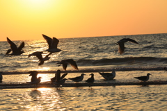 夕暮れの千里浜海岸