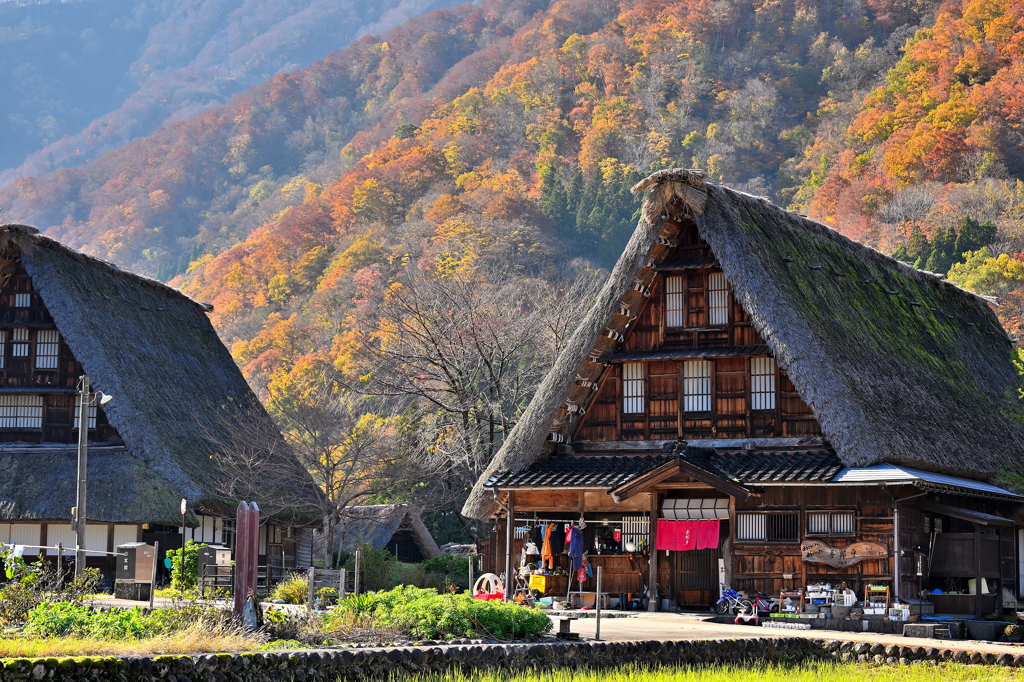 菅沼集落山並み紅葉
