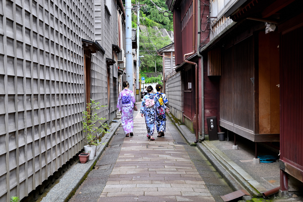 夏の小路