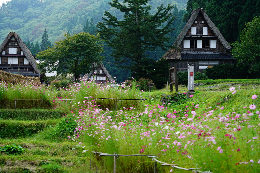 里山に秋の訪れ